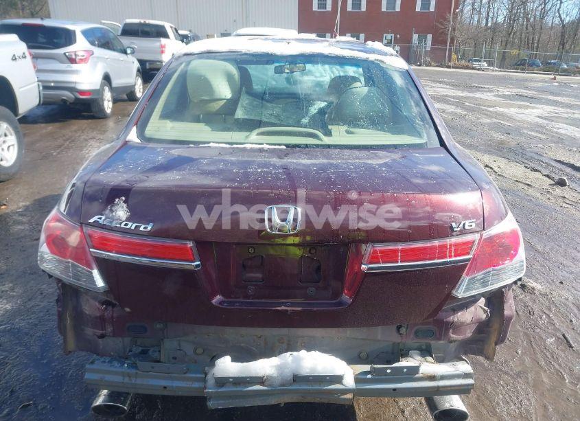 Photo 16 of 2011 Honda Accord 3.5 EX-L (VIN 1HGCP3F80BA009528)