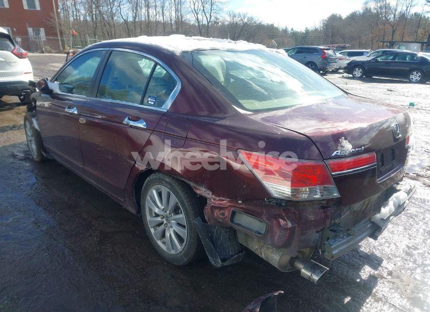 Photo 3 of 2011 Honda Accord 3.5 EX-L (VIN 1HGCP3F80BA009528)