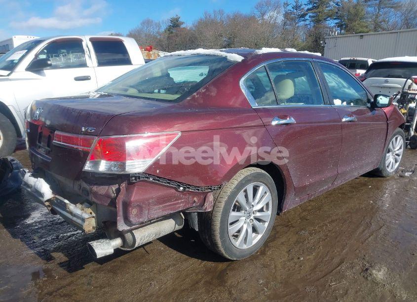 Photo 4 of 2011 Honda Accord 3.5 EX-L (VIN 1HGCP3F80BA009528)