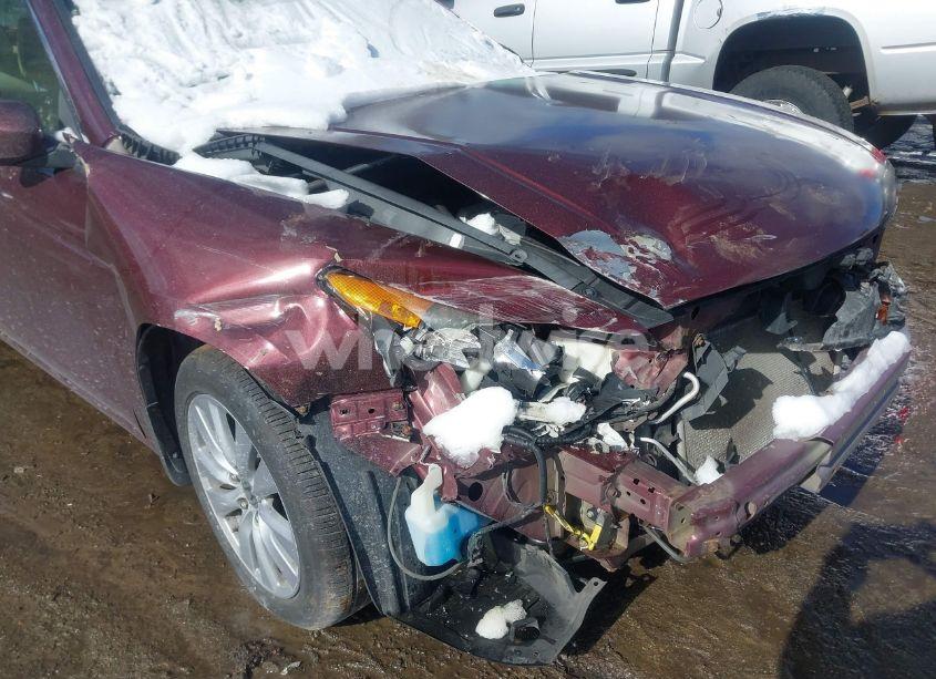 Photo 6 of 2011 Honda Accord 3.5 EX-L (VIN 1HGCP3F80BA009528)