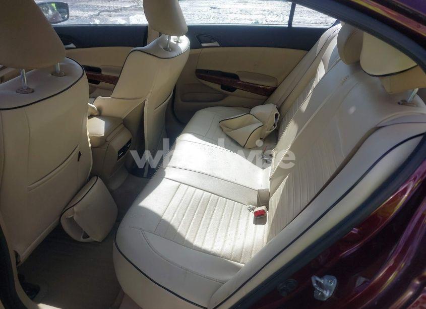 Photo 8 of 2011 Honda Accord 3.5 EX-L (VIN 1HGCP3F80BA009528)