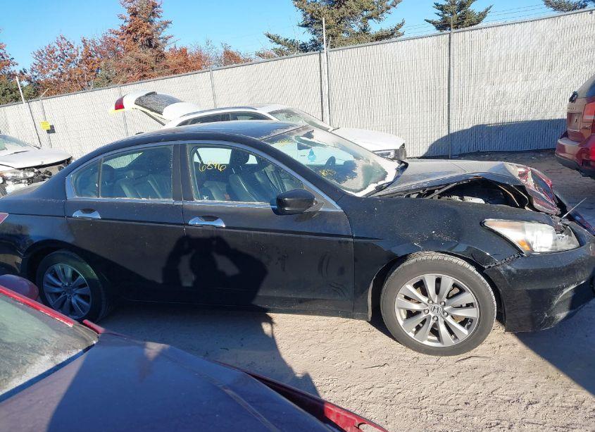 Photo 13 of 2011 Honda Accord 3.5 EX-L (VIN 1HGCP3F80BA017192)