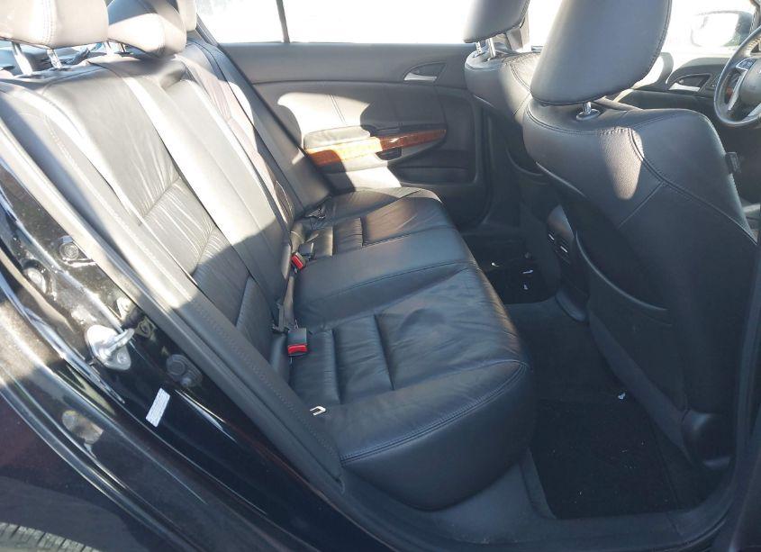 Photo 8 of 2011 Honda Accord 3.5 EX-L (VIN 1HGCP3F80BA017192)