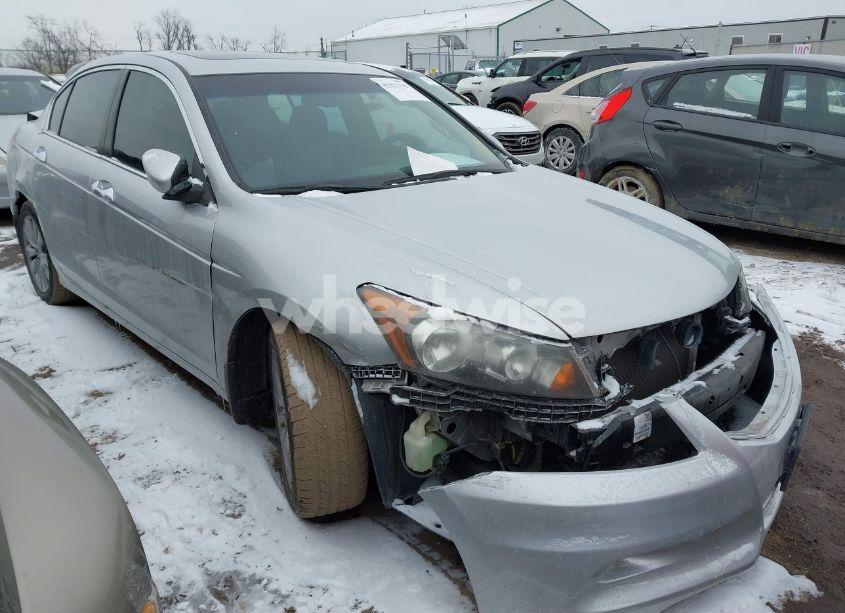 2011 Honda Accord 3.5 EX-L (VIN 1HGCP3F80BA021145) main photo