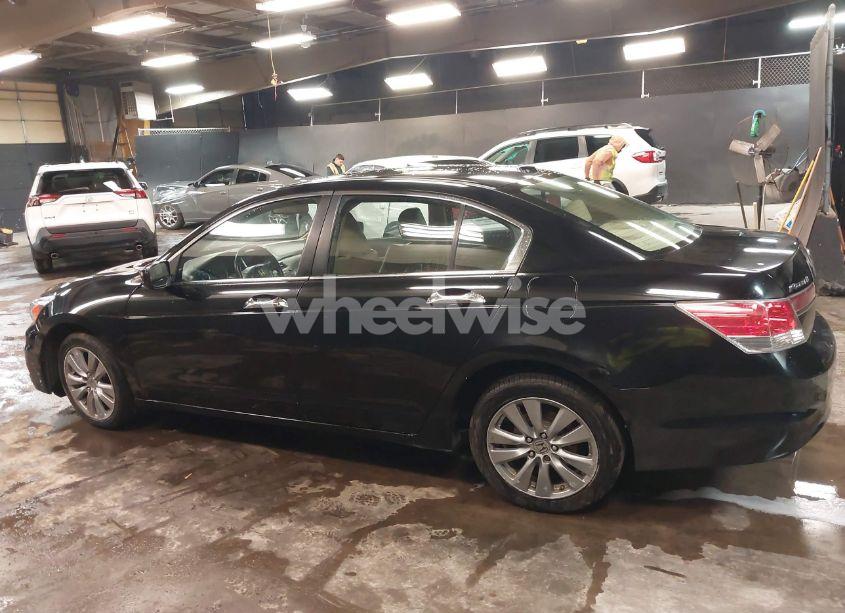 Photo 14 of 2011 Honda Accord 3.5 EX-L (VIN 1HGCP3F80BA021257)