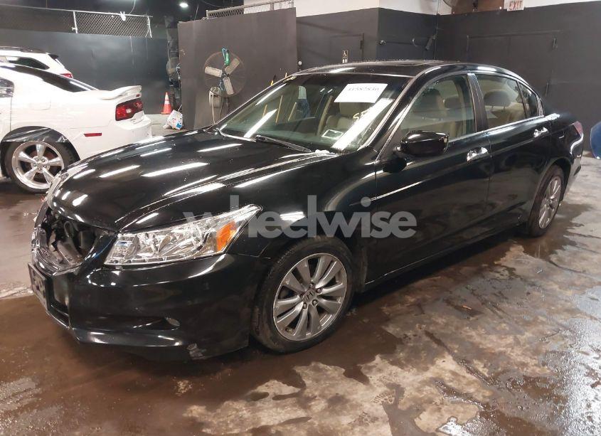 Photo 2 of 2011 Honda Accord 3.5 EX-L (VIN 1HGCP3F80BA021257)