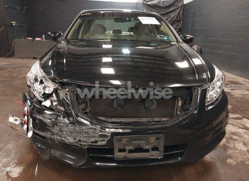 Photo 6 of 2011 Honda Accord 3.5 EX-L (VIN 1HGCP3F80BA021257)