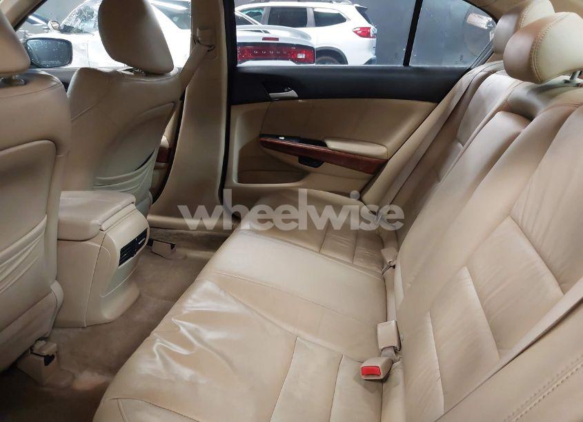 Photo 8 of 2011 Honda Accord 3.5 EX-L (VIN 1HGCP3F80BA021257)