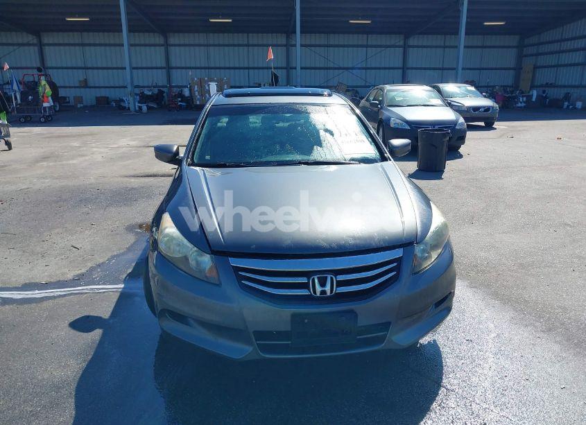 Photo 12 of 2011 Honda Accord 3.5 EX-L (VIN 1HGCP3F80BA024921)