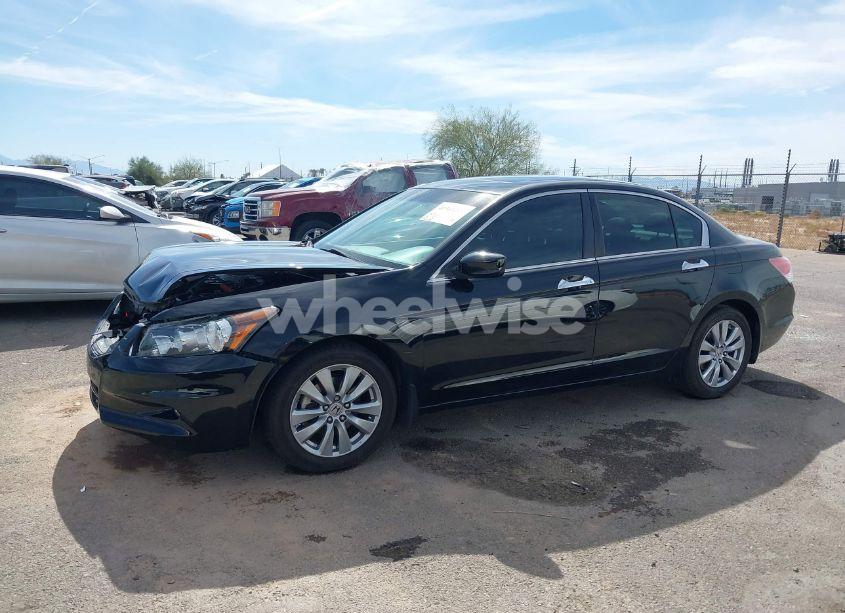 Photo 14 of 2011 Honda Accord 3.5 EX-L (VIN 1HGCP3F80BA030900)