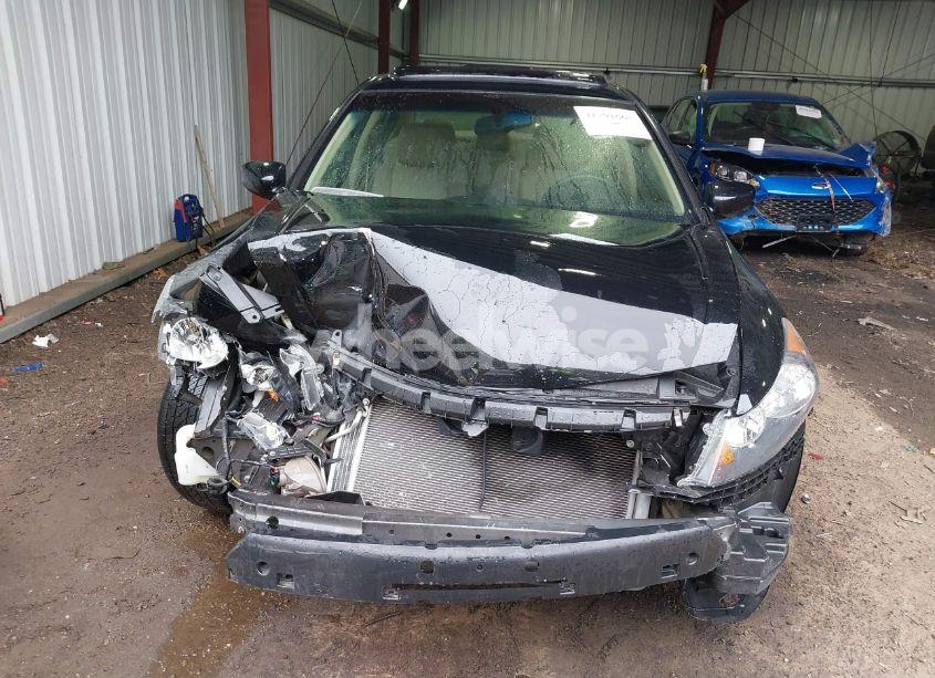 Photo 6 of 2012 Honda Accord 3.5 EX-L (VIN 1HGCP3F80CA006761)