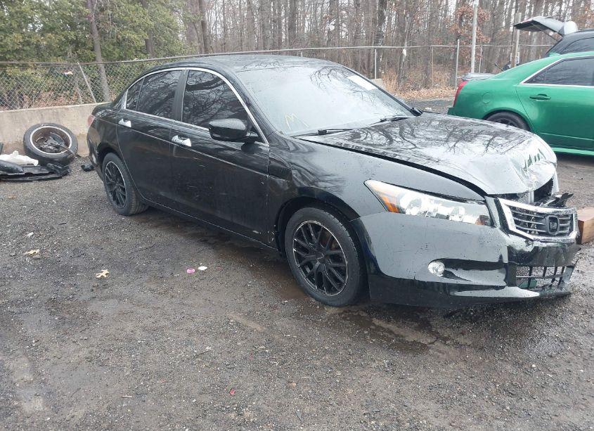 2010 Honda Accord 3.5 EX-L (VIN 1HGCP3F81AA008872) main photo