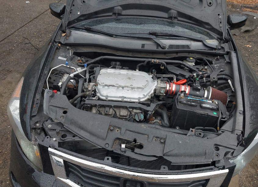 Photo 10 of 2010 Honda Accord 3.5 EX-L (VIN 1HGCP3F81AA008872)