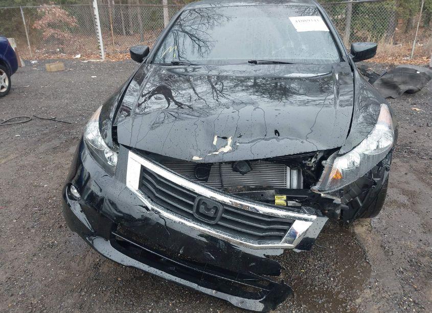 Photo 12 of 2010 Honda Accord 3.5 EX-L (VIN 1HGCP3F81AA008872)