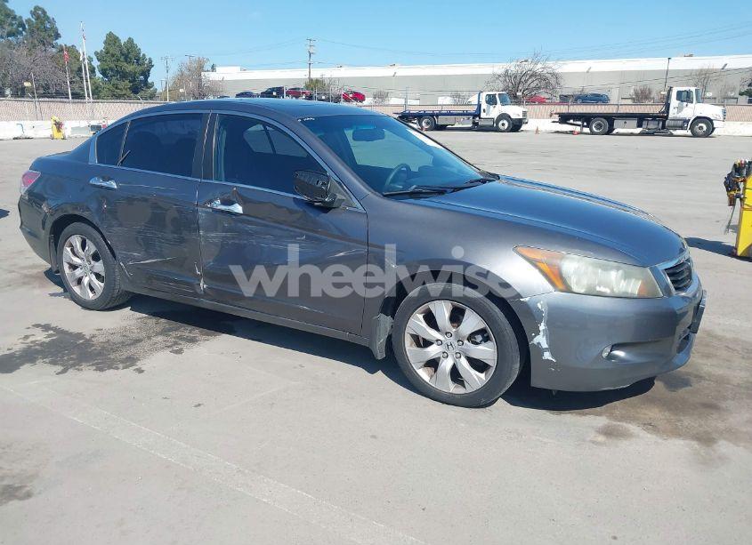 2010 Honda Accord 3.5 EX-L (VIN 1HGCP3F81AA021721) main photo
