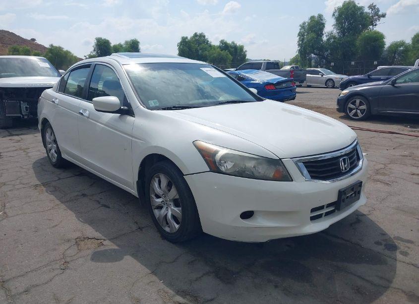 2010 Honda Accord 3.5 EX-L (VIN 1HGCP3F81AA027888) main photo