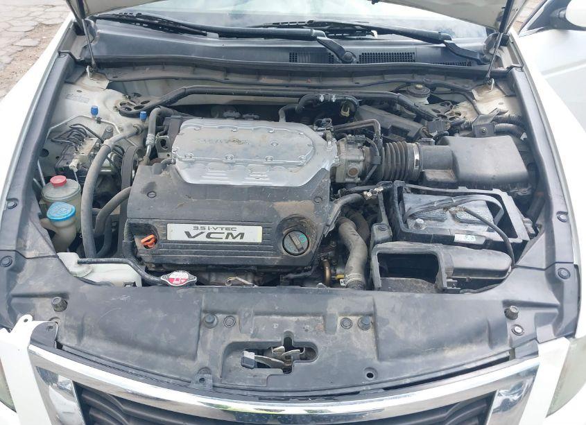 Photo 10 of 2010 Honda Accord 3.5 EX-L (VIN 1HGCP3F81AA027888)