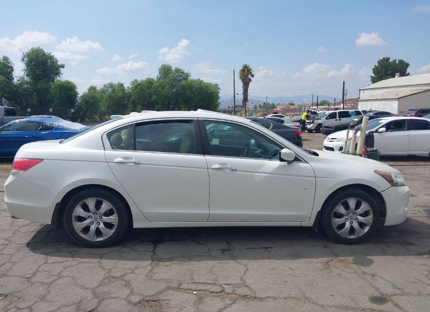Photo 13 of 2010 Honda Accord 3.5 EX-L (VIN 1HGCP3F81AA027888)