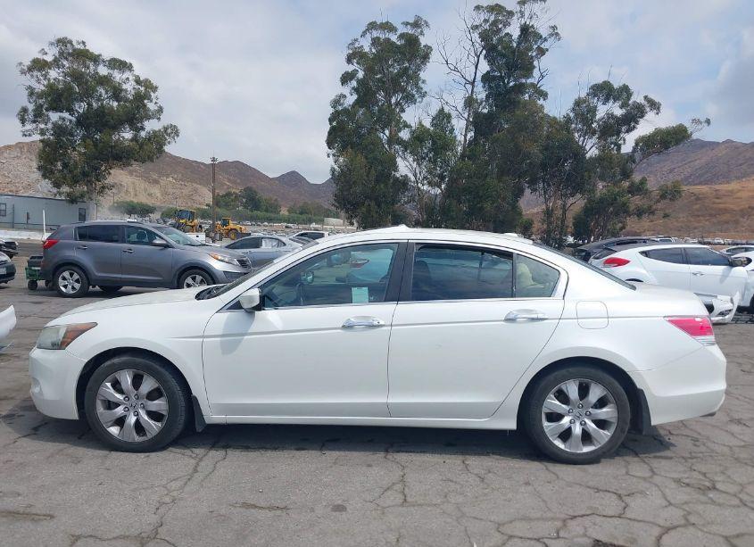 Photo 14 of 2010 Honda Accord 3.5 EX-L (VIN 1HGCP3F81AA027888)