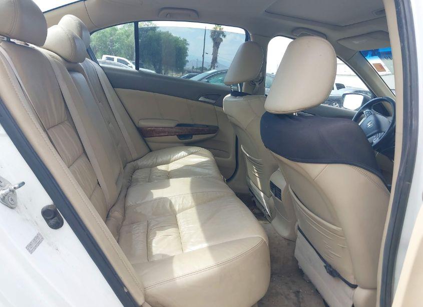 Photo 8 of 2010 Honda Accord 3.5 EX-L (VIN 1HGCP3F81AA027888)