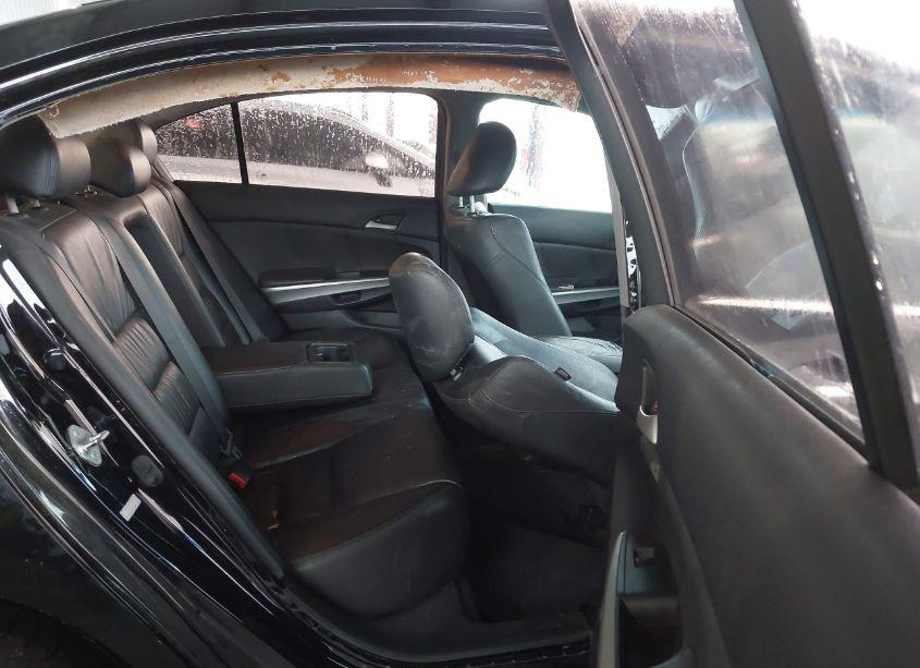 Photo 8 of 2010 Honda Accord 3.5 EX-L (VIN 1HGCP3F81AA028524)