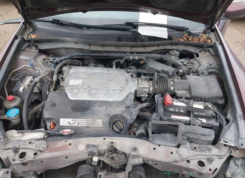 Photo 10 of 2011 Honda Accord 3.5 EX-L (VIN 1HGCP3F81BA000062)