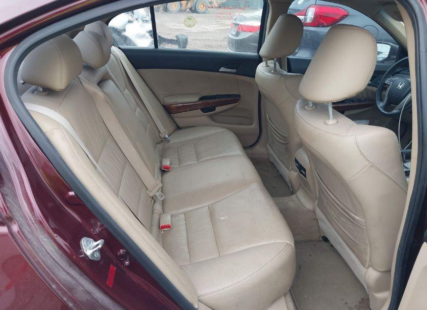 Photo 8 of 2011 Honda Accord 3.5 EX-L (VIN 1HGCP3F81BA000062)