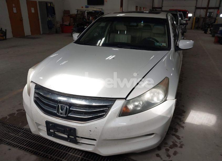 Photo 12 of 2011 Honda Accord 3.5 EX-L (VIN 1HGCP3F81BA009344)