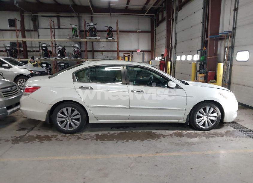 Photo 13 of 2011 Honda Accord 3.5 EX-L (VIN 1HGCP3F81BA009344)