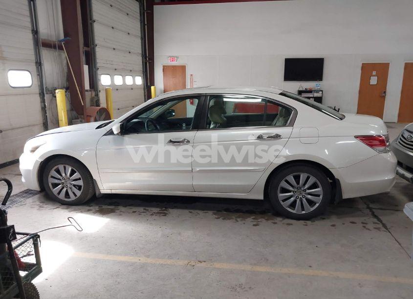 Photo 14 of 2011 Honda Accord 3.5 EX-L (VIN 1HGCP3F81BA009344)