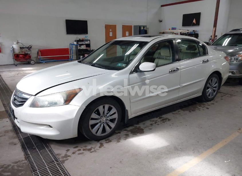 Photo 2 of 2011 Honda Accord 3.5 EX-L (VIN 1HGCP3F81BA009344)