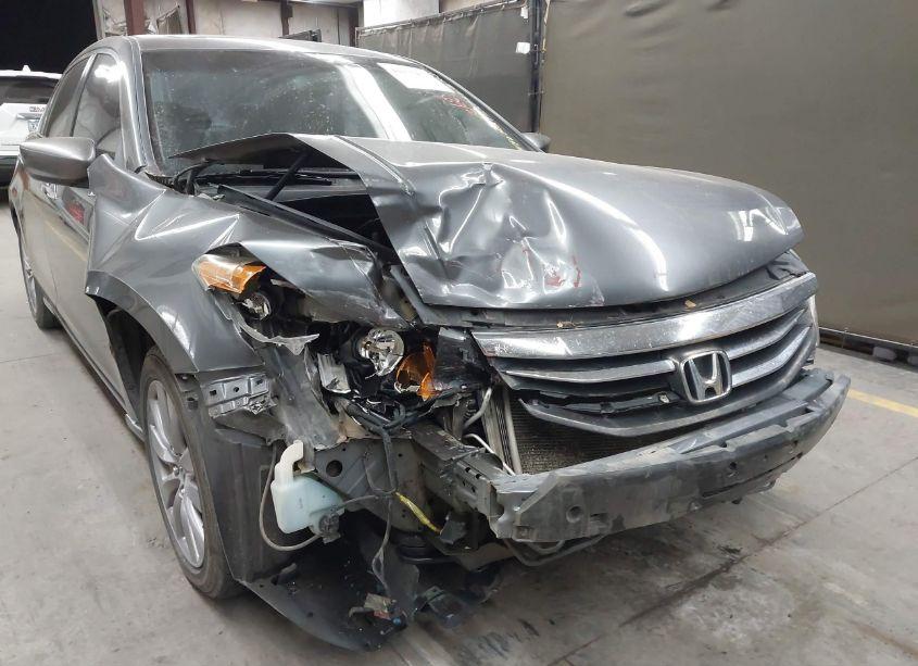 Photo 6 of 2011 Honda Accord 3.5 EX-L (VIN 1HGCP3F81BA020490)