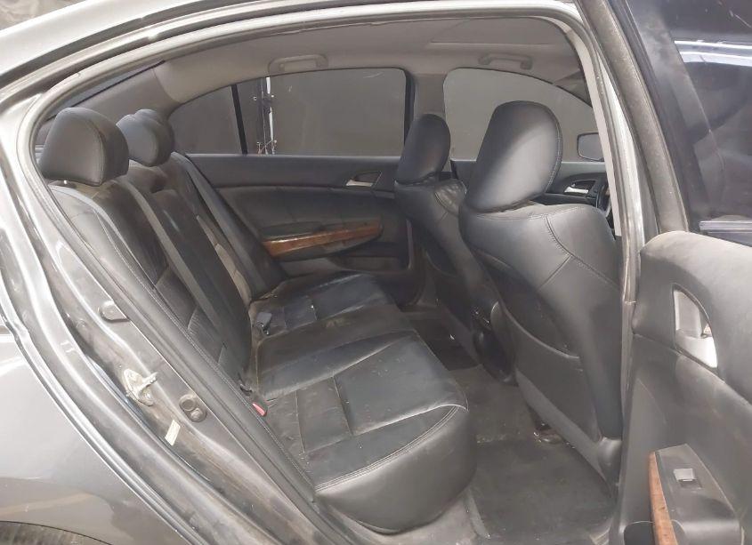 Photo 8 of 2011 Honda Accord 3.5 EX-L (VIN 1HGCP3F81BA020490)