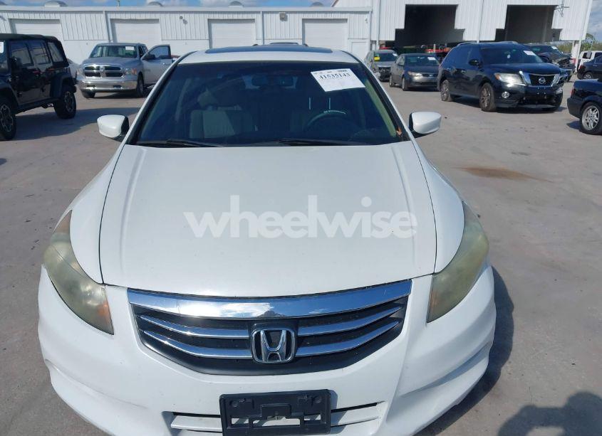 Photo 13 of 2011 Honda Accord 3.5 EX-L (VIN 1HGCP3F81BA024538)