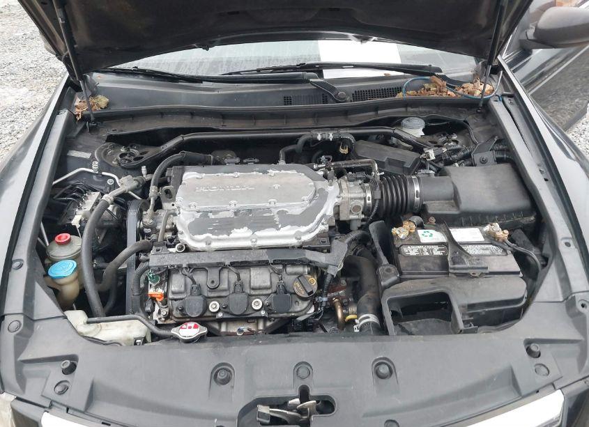 Photo 10 of 2011 Honda Accord 3.5 EX-L (VIN 1HGCP3F81BA030887)
