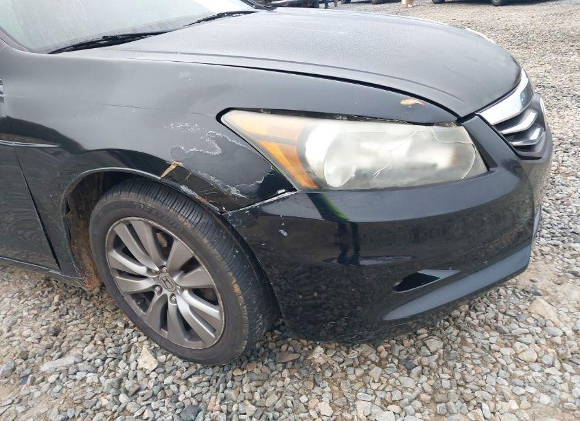 Photo 6 of 2011 Honda Accord 3.5 EX-L (VIN 1HGCP3F81BA030887)