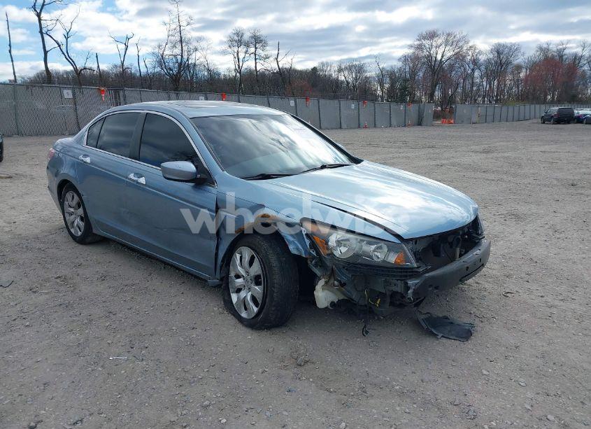 2011 Honda Accord 3.5 EX-L (VIN 1HGCP3F81BA032073) main photo