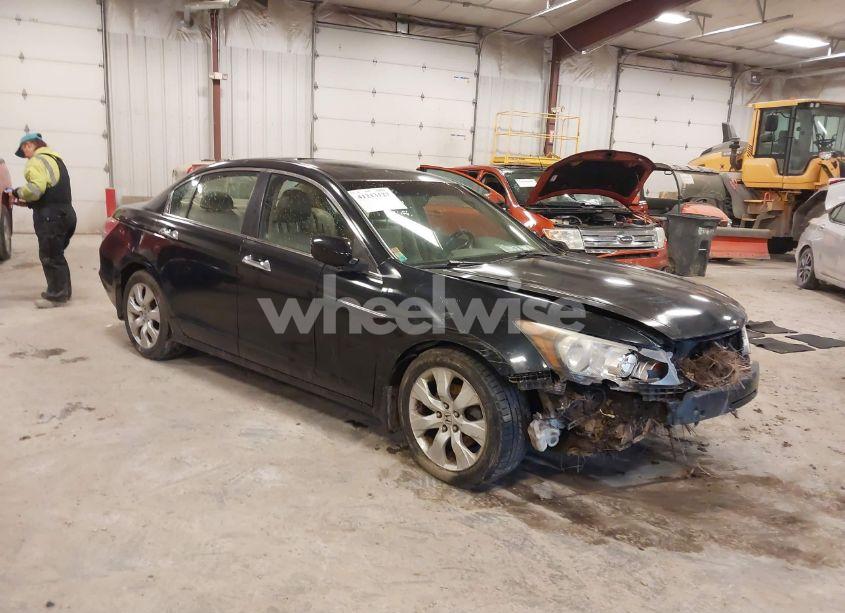 2010 Honda Accord 3.5 EX-L (VIN 1HGCP3F82AA013031) main photo