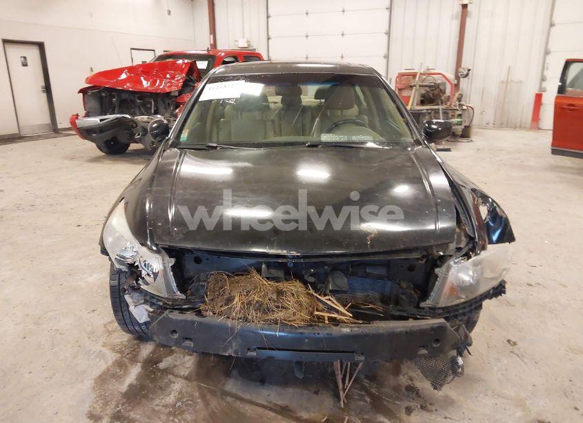 Photo 11 of 2010 Honda Accord 3.5 EX-L (VIN 1HGCP3F82AA013031)