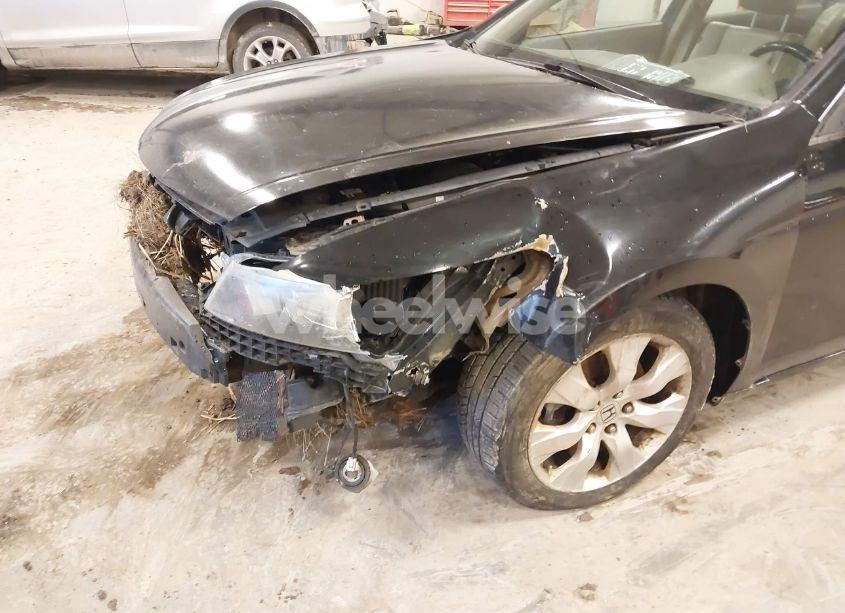 Photo 6 of 2010 Honda Accord 3.5 EX-L (VIN 1HGCP3F82AA013031)