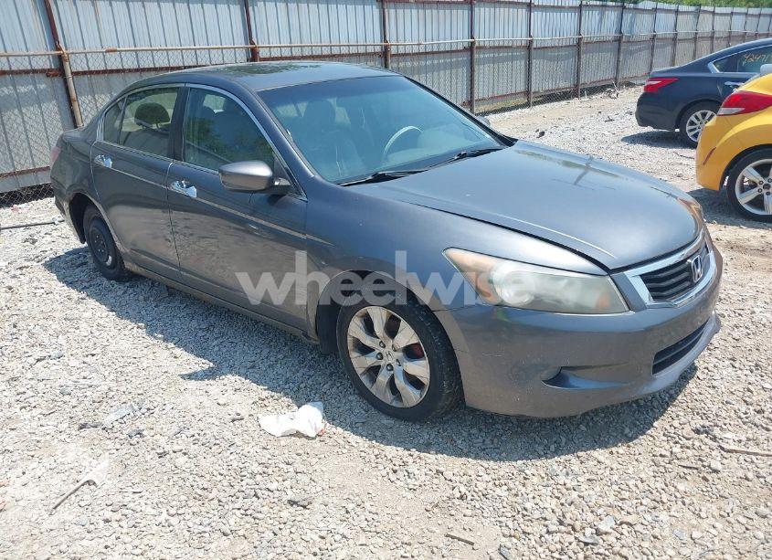 2010 Honda Accord 3.5 EX-L (VIN 1HGCP3F82AA014681) main photo