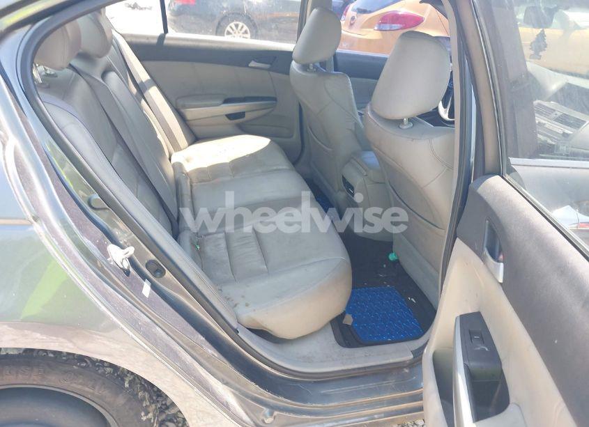 Photo 8 of 2010 Honda Accord 3.5 EX-L (VIN 1HGCP3F82AA014681)