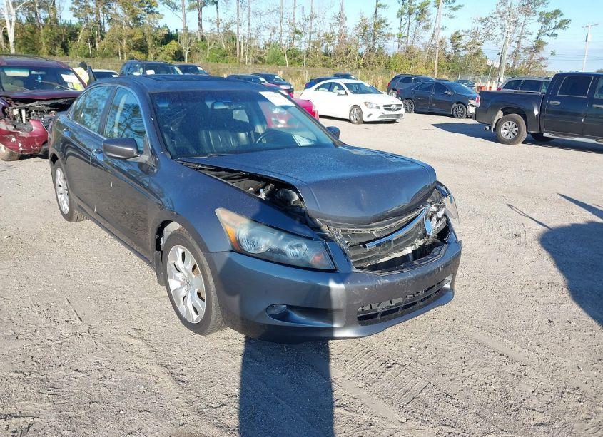 2010 Honda Accord 3.5 EX-L (VIN 1HGCP3F82AA020447) main photo