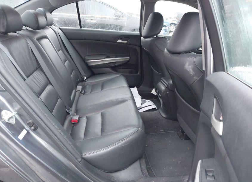 Photo 8 of 2010 Honda Accord 3.5 EX-L (VIN 1HGCP3F82AA020612)