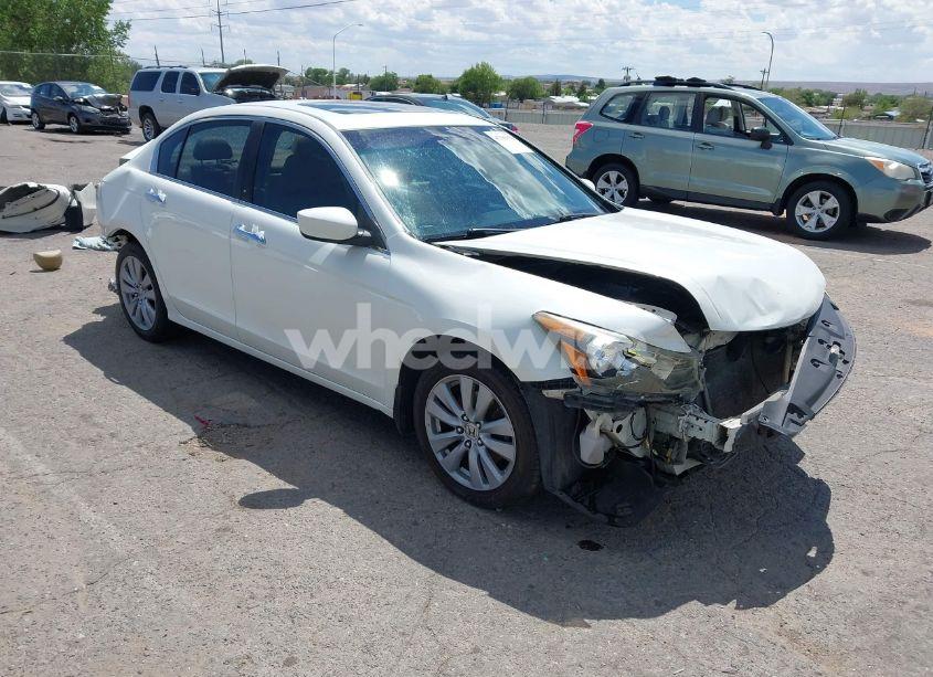 2011 Honda Accord 3.5 EX-L (VIN 1HGCP3F82BA007344) main photo