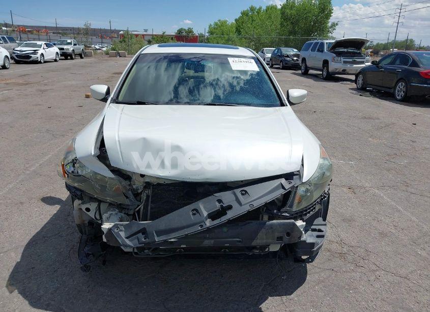 Photo 13 of 2011 Honda Accord 3.5 EX-L (VIN 1HGCP3F82BA007344)