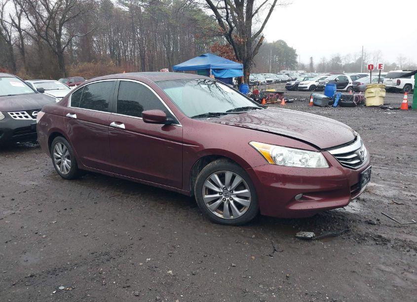 Photo 13 of 2011 Honda Accord 3.5 EX-L (VIN 1HGCP3F82BA032180)