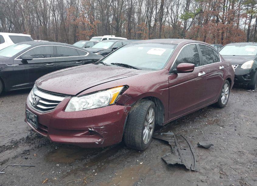 Photo 6 of 2011 Honda Accord 3.5 EX-L (VIN 1HGCP3F82BA032180)