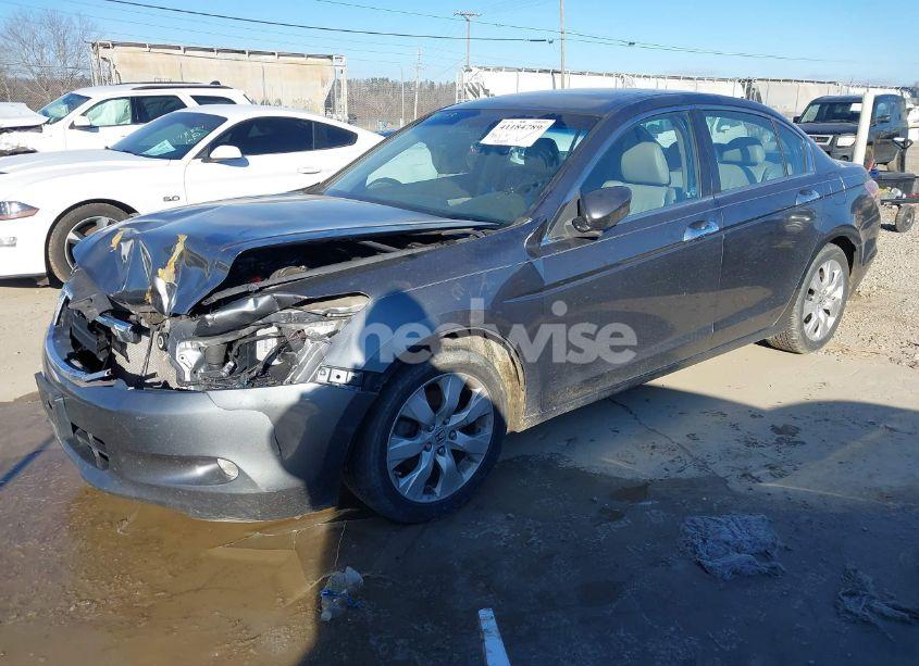 Photo 2 of 2010 Honda Accord 3.5 EX-L (VIN 1HGCP3F83AA003043)