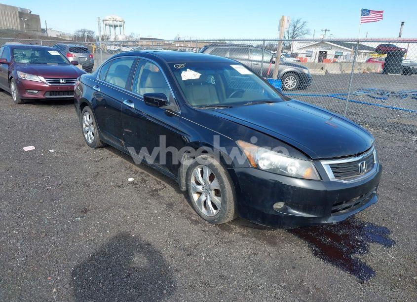 2010 Honda Accord 3.5 EX-L (VIN 1HGCP3F83AA003995) main photo